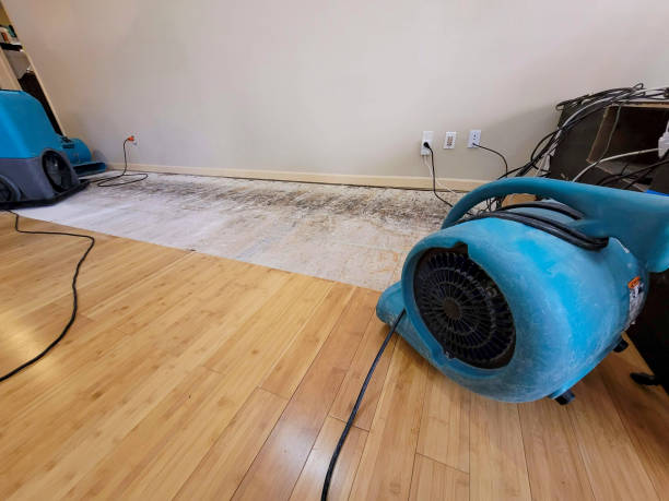 Professional Basement Flood Cleanup technician working in Blair, WV